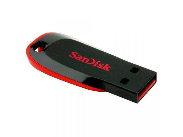 Free SanDisk USB Drive!