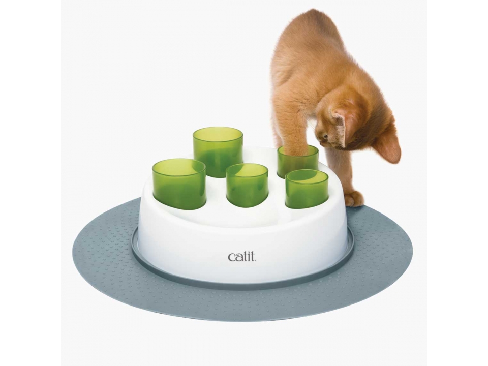 Free Cat Toy From Catit