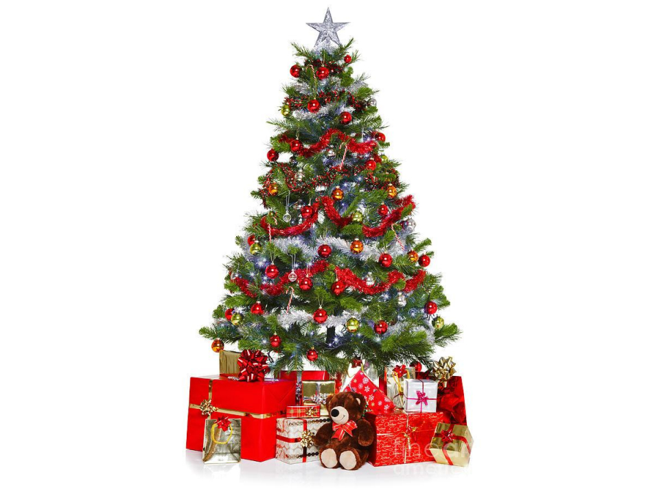 Free Christmas Tree From Christmas Tree Project