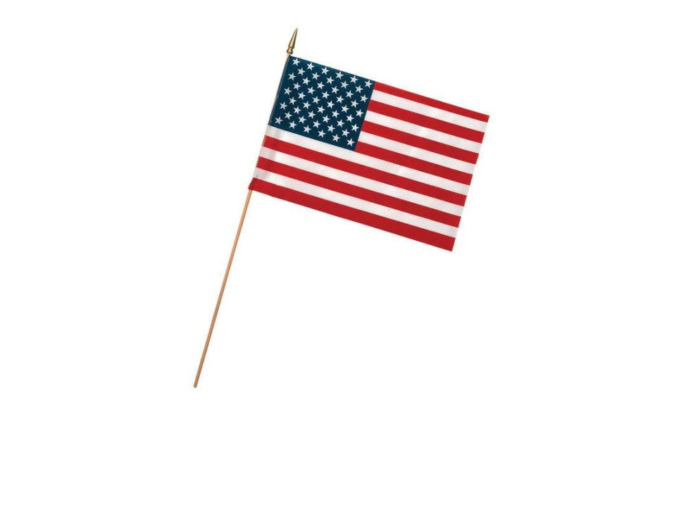 Free American Flag From Ace Hardware