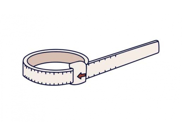 Free Ring Sizer From Loop Jewelry