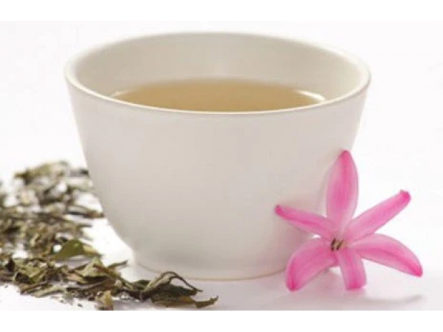Free Monterey Bay Tea Sample