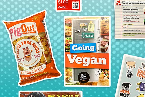 Free SOS Breakup Box From Peta