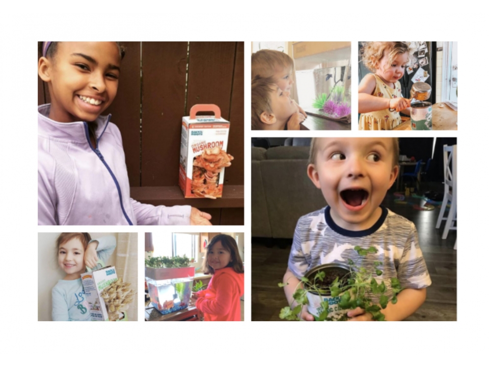 Free Gardening Kit From Back To The Roots