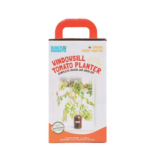 Free Back To The Roots Windowsill Tomato Planter