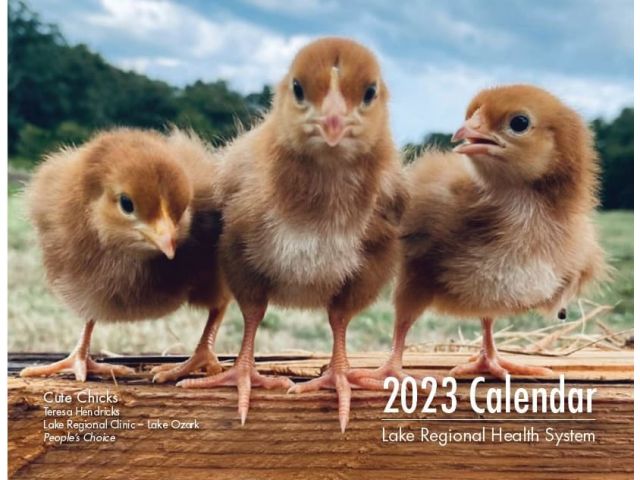 Free 2023 Calendar From Lake Regional!