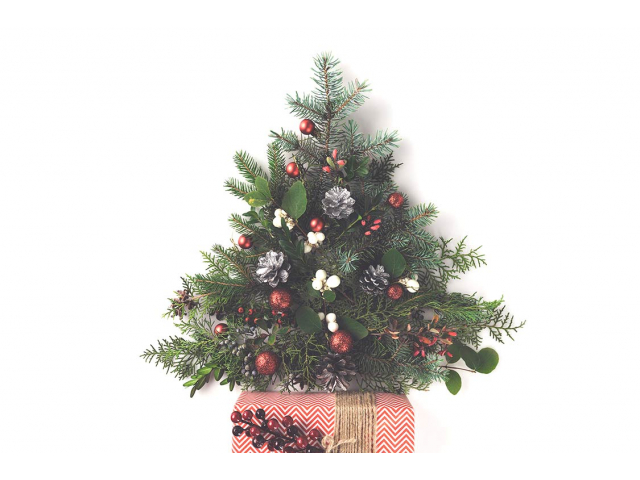 Free Christmas Tree From CTP!