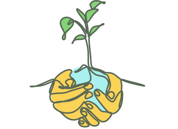 Free Tree Seedling/Wildflower Seeds From Arm&Hammer