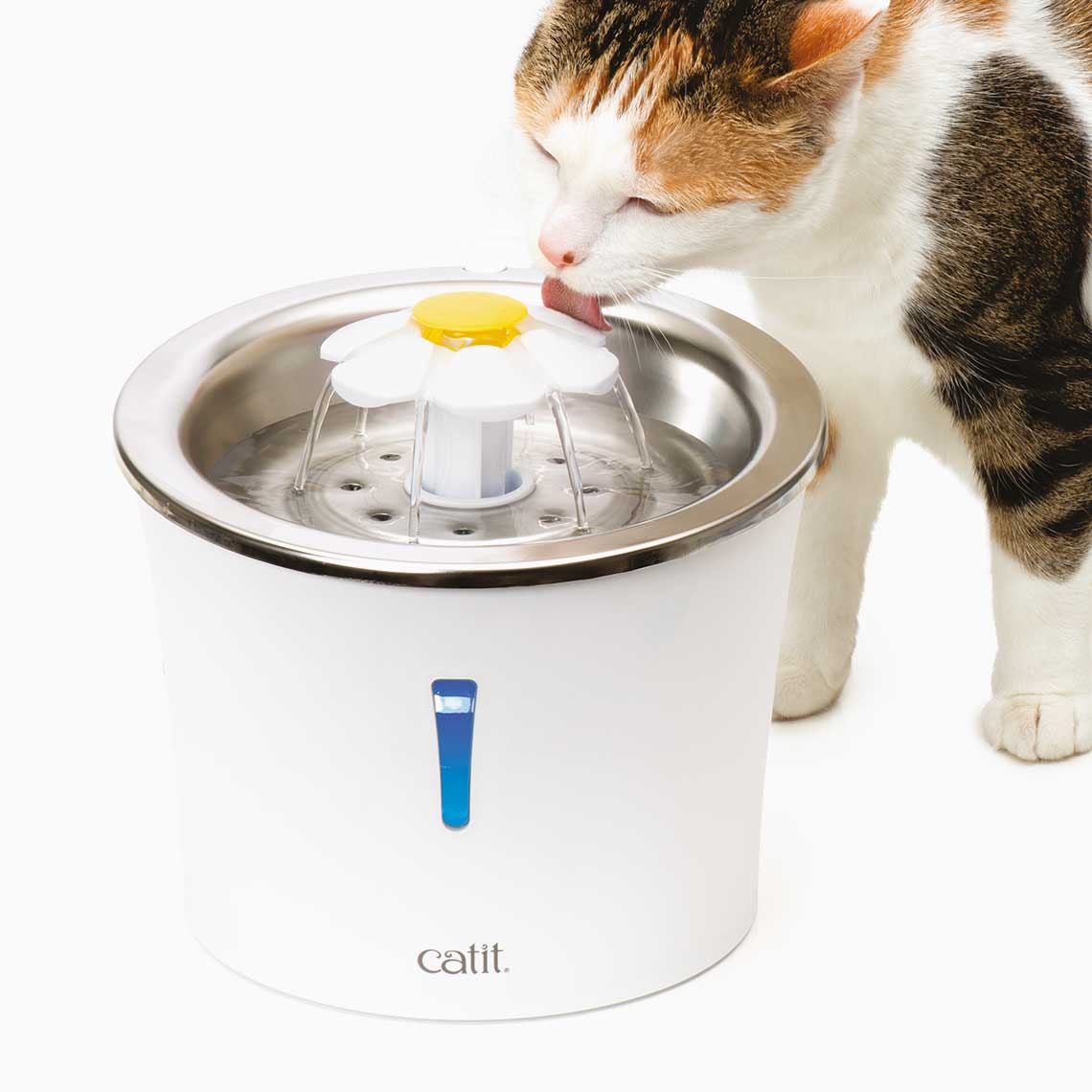 Free Catit Stainless Steel Flower Fountain