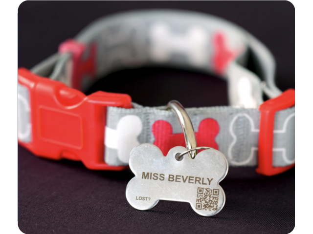 Free FidoAlert Fido ID Tag