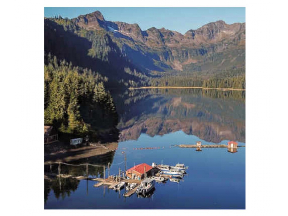 Free Pybus 2020 Alaska Calendar