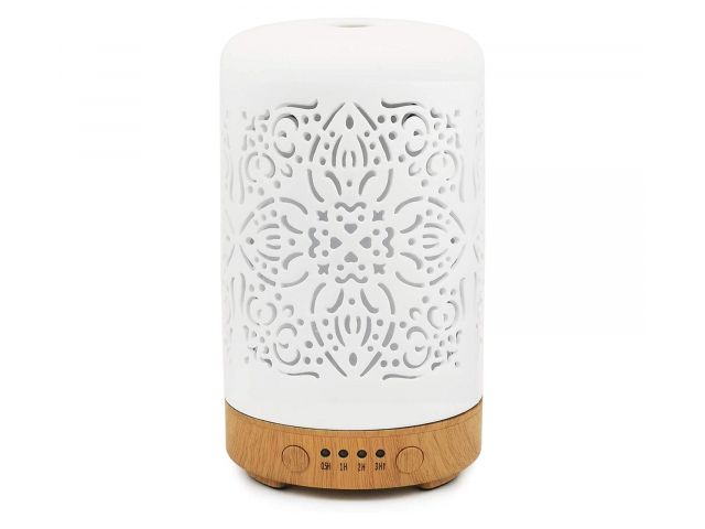 Free Earnest Living Oil Diffuser