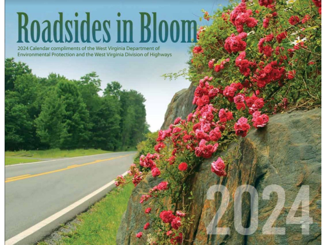 Free 2024 Roadsides In Bloom Calendar!
