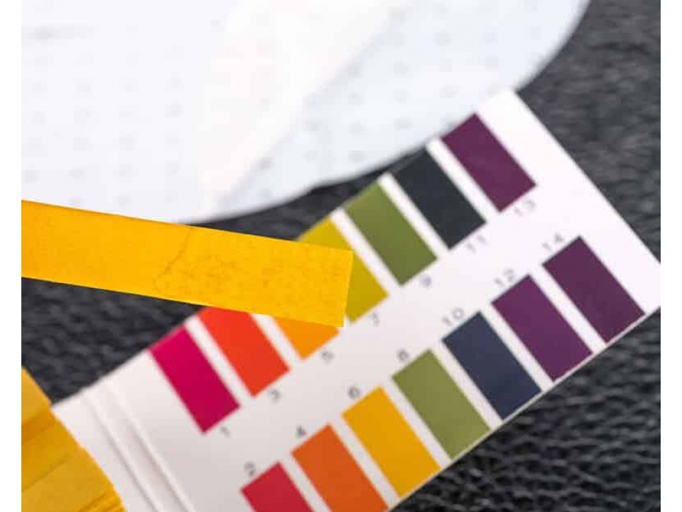 Free PH Testing Kit By Elementa