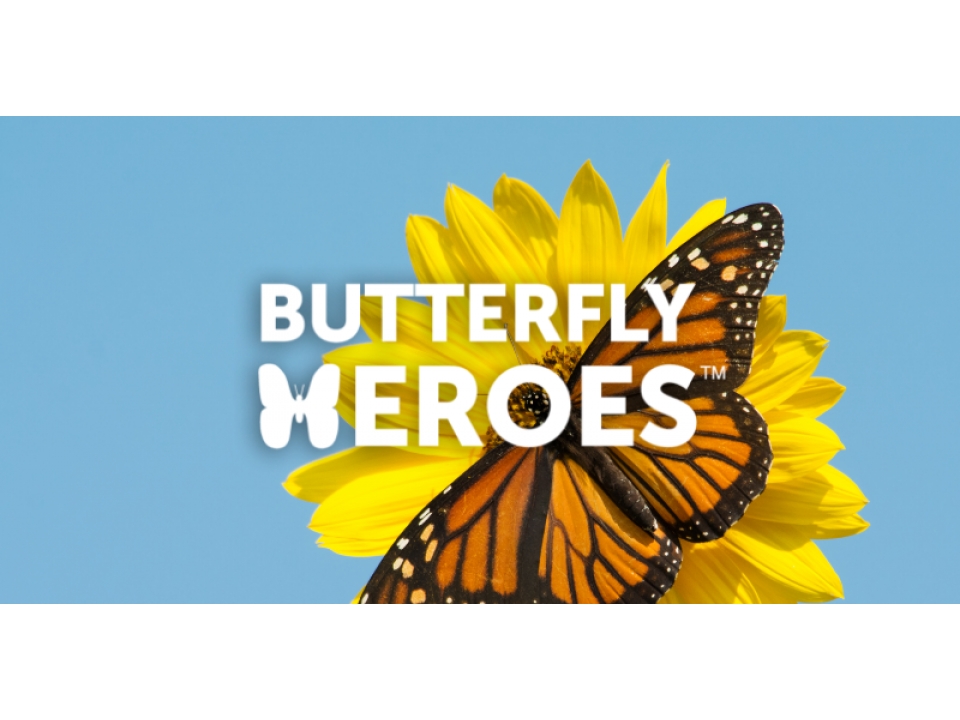 Free Wildflower Seeds (Butterfly Garden)