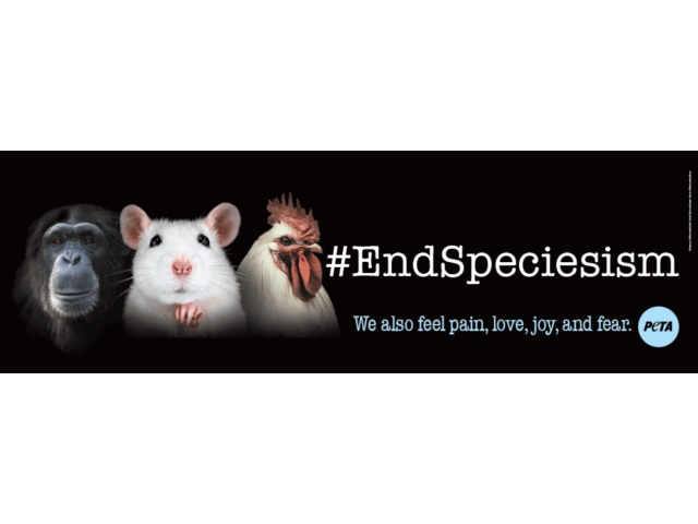 Free PETA Animal Rights Bookmark