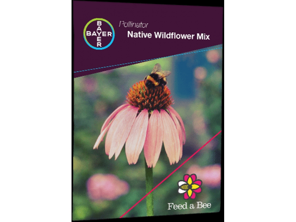 Free Wildflower Seeds From Bayer