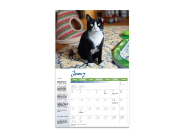 Free PETA 2022 Rescued Calendar