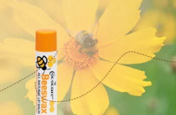 Free Pollinator Seed Paper From Cococare