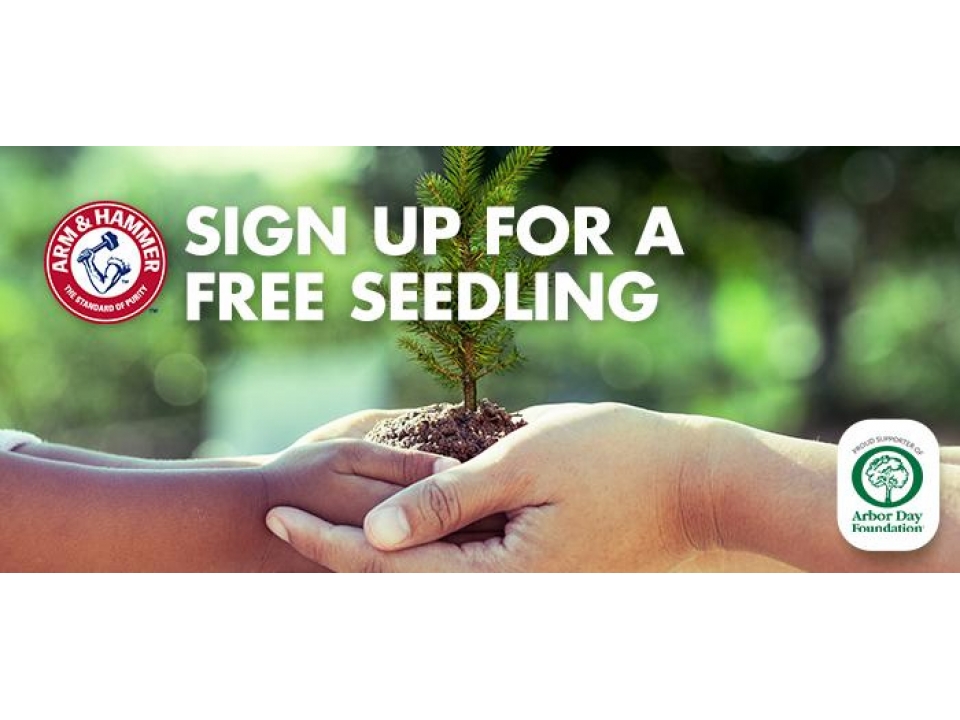 Free Tree Seedling From Arm & Hammer