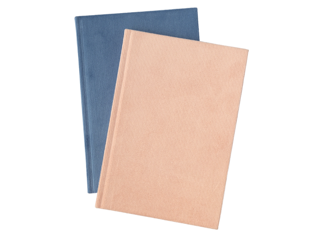 Free Journal From Rexulti