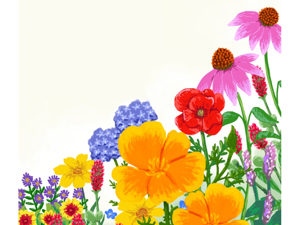 Free BEE-Friendly Seed Packet From Zarbee’s